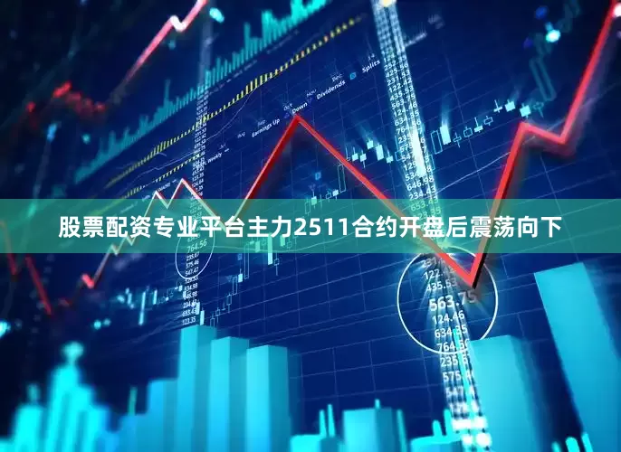 股票配资专业平台主力2511合约开盘后震荡向下